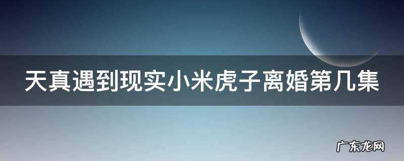 天真遇到现实小米虎子离婚第几集 天真遇到现实小米虎子结局
