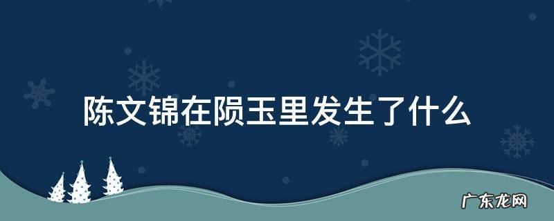 陈文锦从陨玉里出来了吗 陈文锦在陨玉里发生了什么
