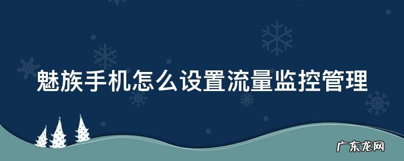 魅族手机怎么设置流量监控管理 魅族手机如何设置流量监控