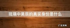 琉璃中昊辰的真实身份是什么 琉璃中的昊辰是谁