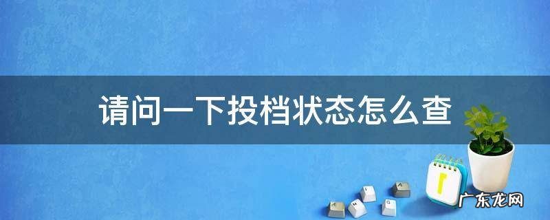 请问一下投档状态怎么查 投档状态怎么查询