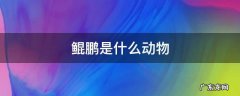 鲲鹏是什么动物长什么样 鲲鹏是什么动物