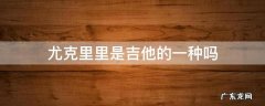 尤克里里算吉他的一种吗 尤克里里是吉他的一种吗