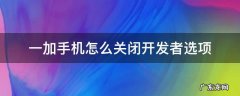 一加手机怎么关闭开发者选项 一加手机怎样关闭开发者选项