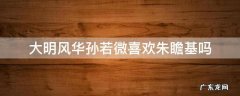大明风华孙若微喜欢朱瞻基吗 大明风华孙若微喜欢朱瞻基还是徐滨