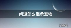 问道继承宠物都能继承什么 问道怎么继承宠物