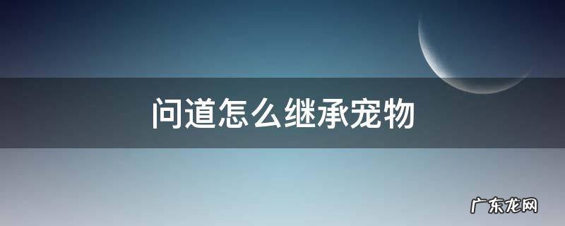 问道继承宠物都能继承什么 问道怎么继承宠物