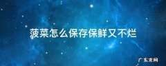 菠菜吃不完怎样保存 菠菜怎么保存保鲜又不烂