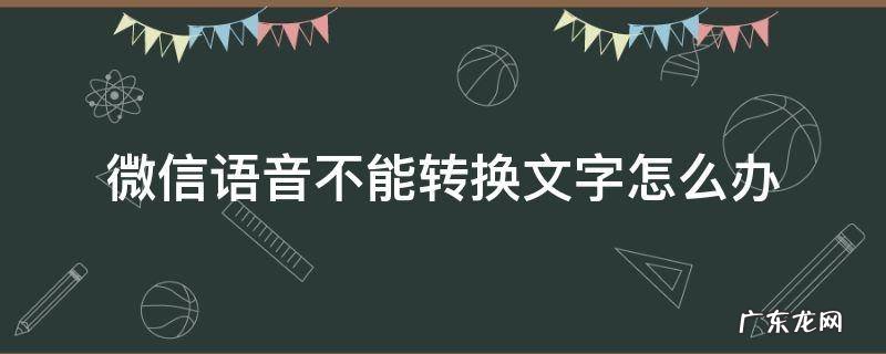 微信语音不能转换成文字怎么回事 微信语音不能转换文字怎么办