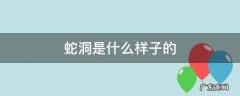 蛇洞是什么样子的 蛇洞长啥样