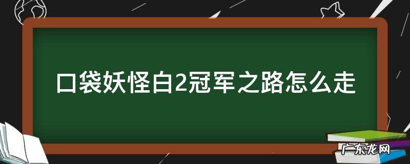 口袋妖怪白金光冠军之路怎么走 口袋妖怪白2冠军之路怎么走