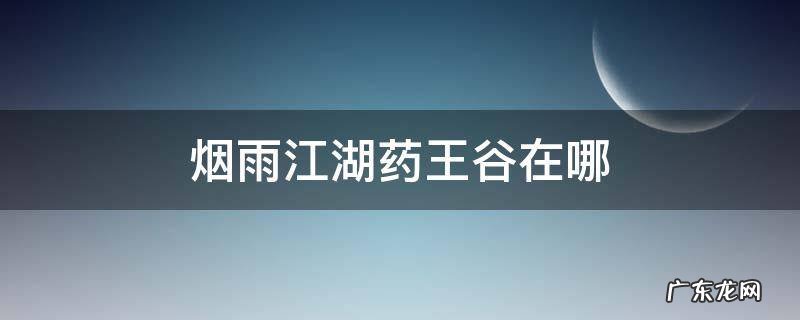 烟雨江湖药王谷支线任务 烟雨江湖药王谷在哪