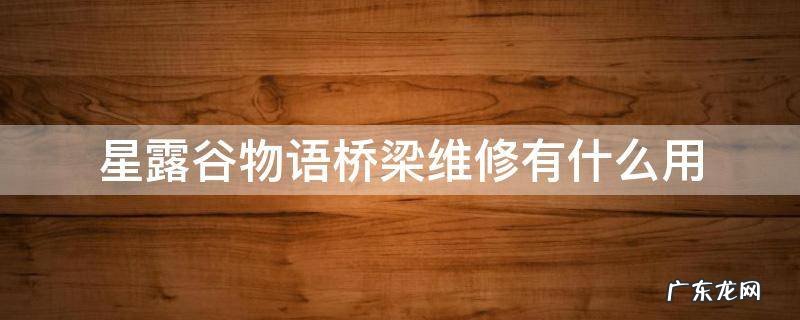 星露谷物语桥修好了能干什么 星露谷物语桥梁维修有什么用
