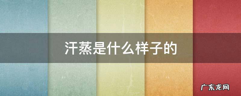 汗蒸是什么样子的 汗蒸是咋样的