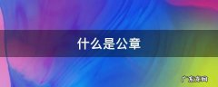 公章 什么是公章