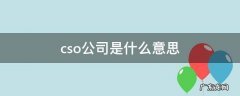 公司cso是做什么的 cso公司是什么意思