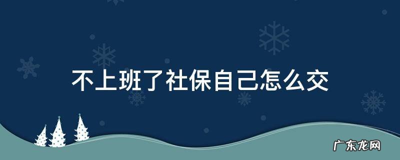 不上班的话社保怎么交 不上班了社保自己怎么交