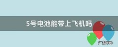 5号电池能随身带上飞机吗 5号电池能带上飞机吗