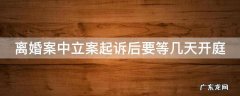离婚案中立案起诉后要等几天开庭 离婚案中立案起诉后要等几天开庭呢