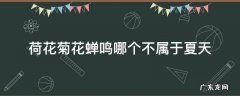 荷花菊花蝉鸣哪个不属于夏天 五月夏天到荷花开蝉儿鸣