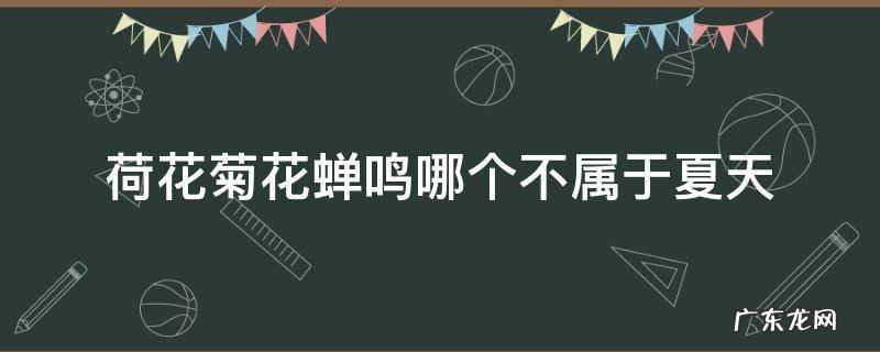 荷花菊花蝉鸣哪个不属于夏天 五月夏天到荷花开蝉儿鸣