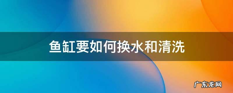 鱼缸换水清洗的正确方法 鱼缸要如何换水和清洗