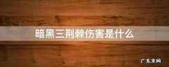 暗黑三荆棘伤害是什么 暗黑3荆棘