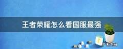 王者荣耀怎么看国服最强打野 王者荣耀怎么看国服最强