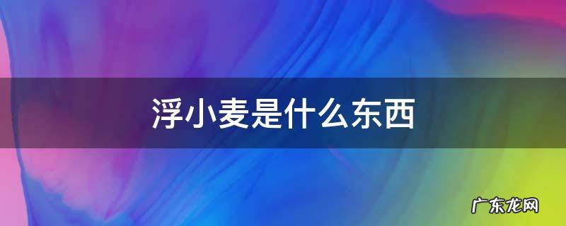 浮小麦是什么东西 浮小麦是啥东西