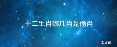十二生肖哪些是偷肖 十二生肖哪几肖是偷肖
