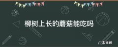 柳树上长的蘑菇能吃吗能治病吗 柳树上长的蘑菇能吃吗