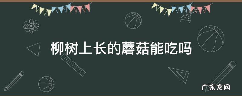 柳树上长的蘑菇能吃吗能治病吗 柳树上长的蘑菇能吃吗