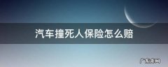 汽车撞死人保险全赔吗 汽车撞死人保险怎么赔