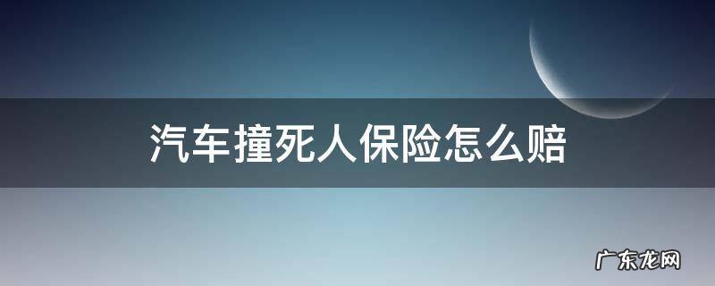 汽车撞死人保险全赔吗 汽车撞死人保险怎么赔