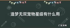 造梦无双宠物星级有什么用 造梦无双什么宠物最值得培养