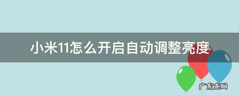 小米11怎么把亮度调到最亮 小米11怎么开启自动调整亮度