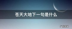 苍天大地什么意思 苍天大地下一句是什么