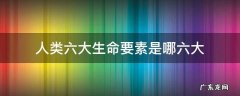 人体的第六大生命要素是什么 人类六大生命要素是哪六大