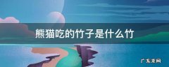 熊猫吃的竹子是什么竹 熊猫最爱吃的竹子是什么竹子