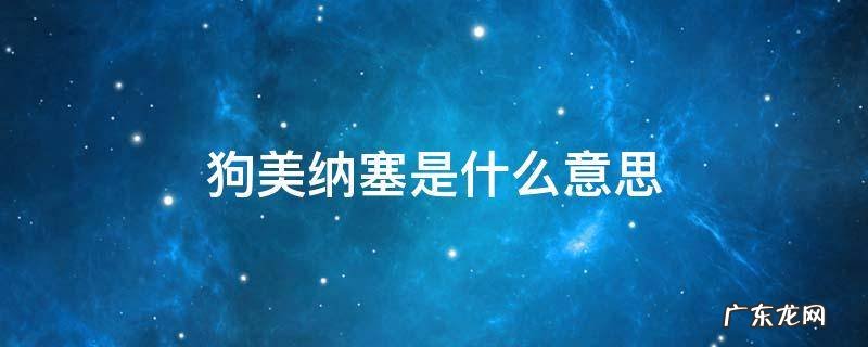 狗美纳塞是什么意思 狗米纳塞什么意思