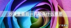 沙漠里最后一只鸵鸟什么意思 沙漠里最后一只鸵鸟是啥