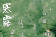 寒露节气给最爱的人的祝福
