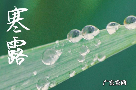 寒露发朋友圈的句子