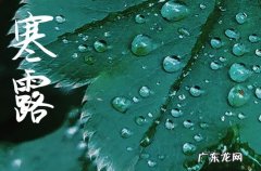 2023年寒露结婚好不好