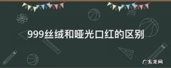迪奥999丝绒和哑光口红的区别 999丝绒和哑光口红的区别