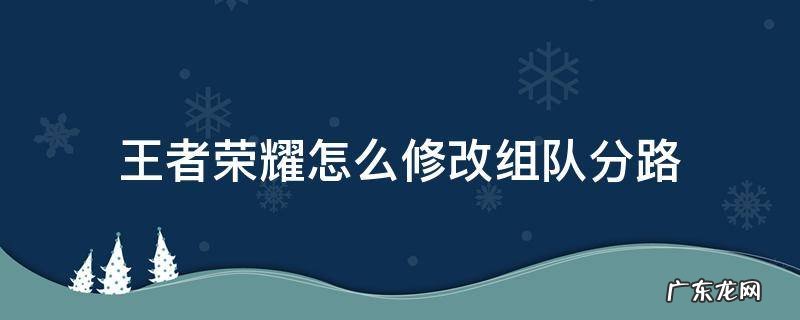 王者荣耀怎么修改组队分路 王者荣耀分路怎么设置
