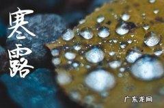寒露发给客户的祝福短信