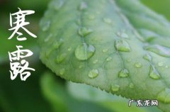 寒露发给客户的简短信息