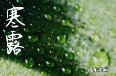 寒露节气发朋友圈说点啥