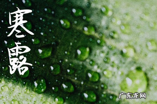 寒露节气发朋友圈说点啥